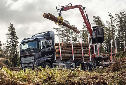 Volvo FH16 boomtransport